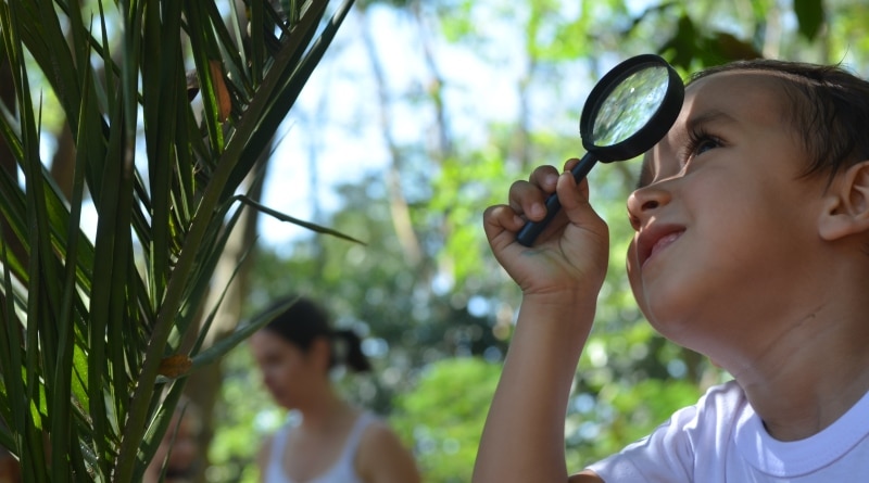 Brincam com a natureza