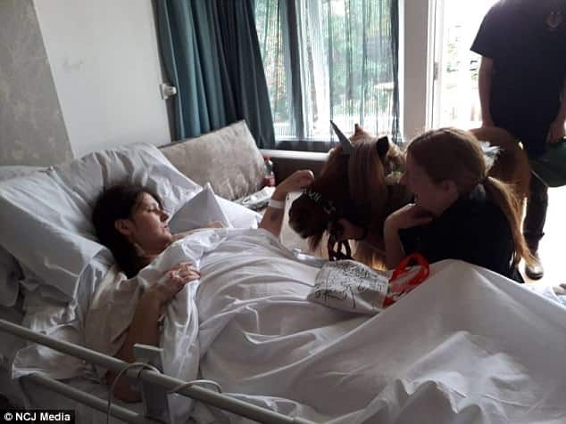 Sammi recebe "unicórnio" no hospital