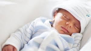 Comer placenta Comer placenta