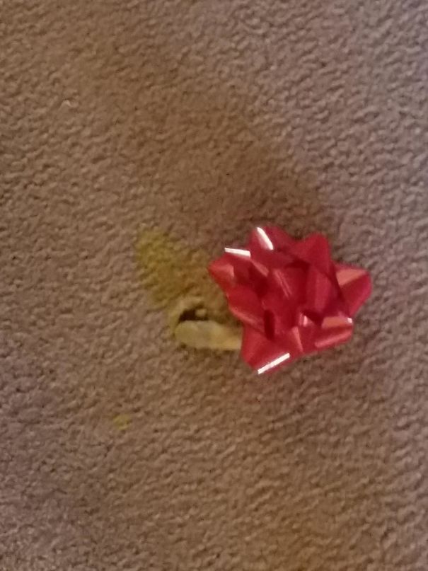 gato-e-bola-de-pelos-enfeitada