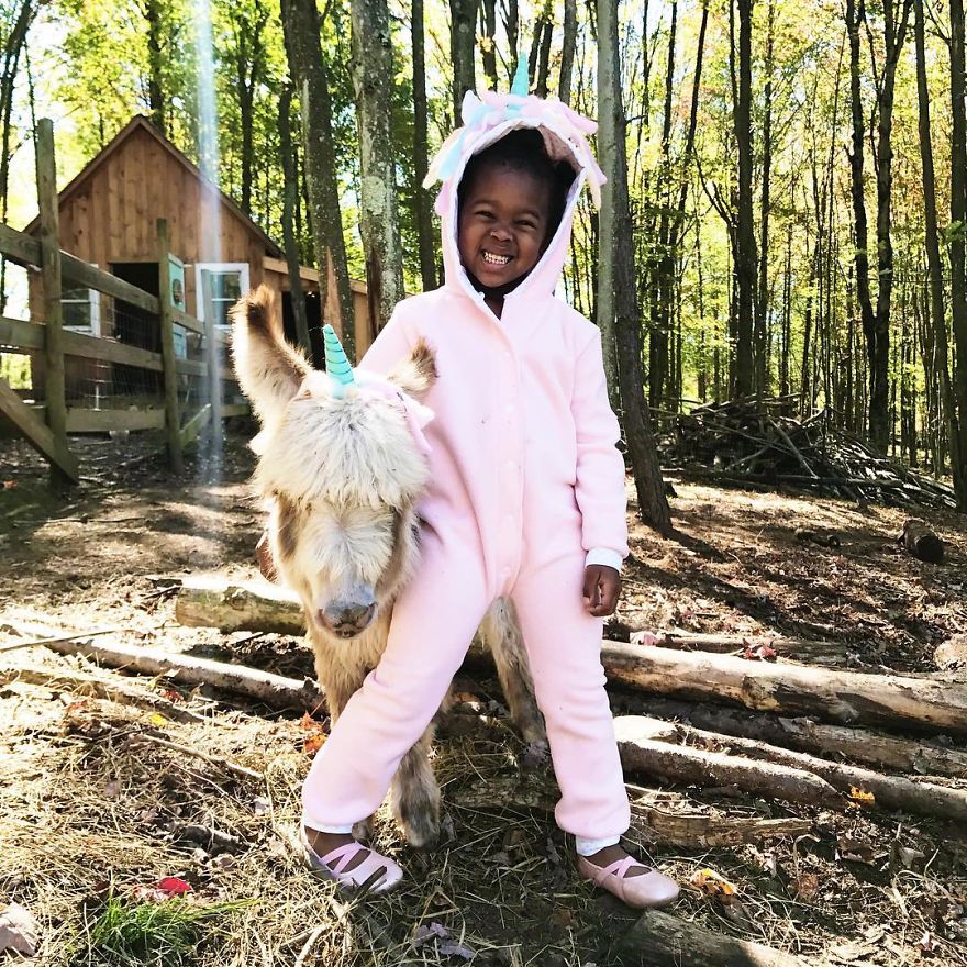 Unicórnios Unicórnios