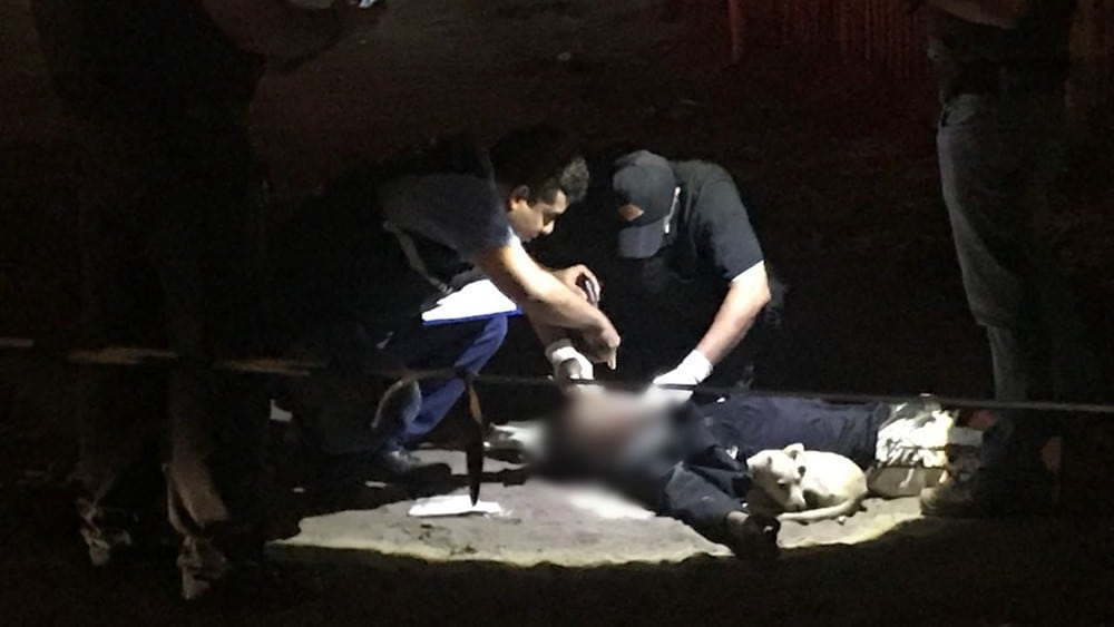 homem assassinado cão vigia