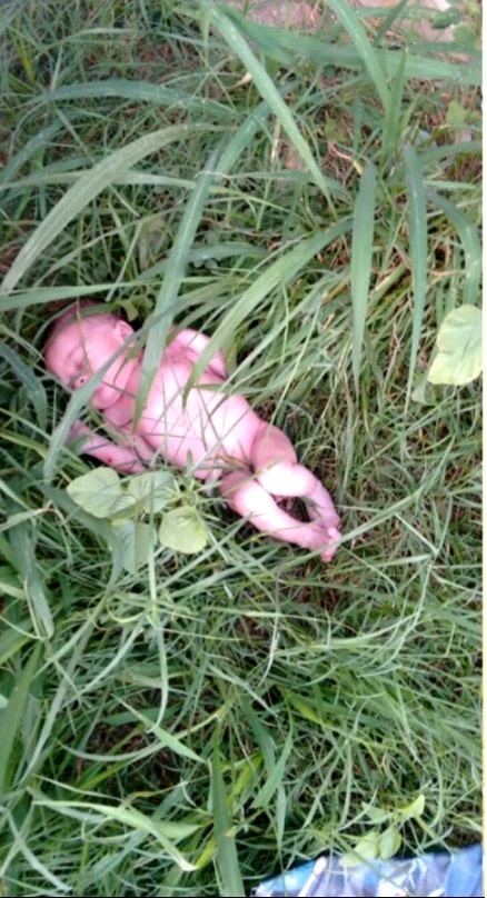 Bebê é encontrado em mata