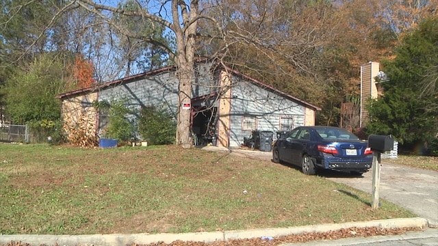 91 cães encontrados em abrigo