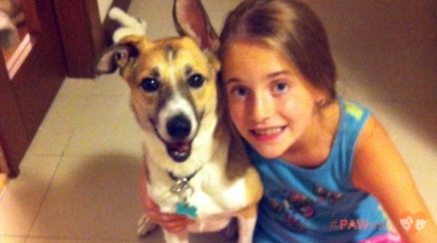 cadelinha salva de abrigo