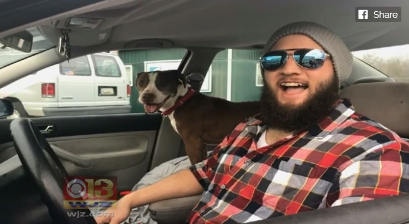 cão abandonado por namorado na dona