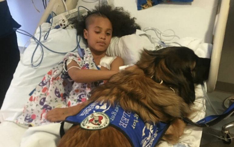 Menino com dor de cabeça sofre aneurisma