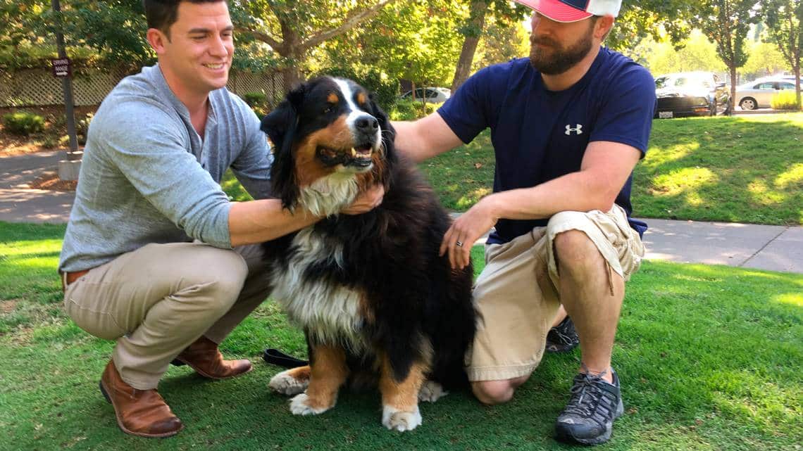 Donos se surpreendem ao encontrarem cadela que achavam estar morta