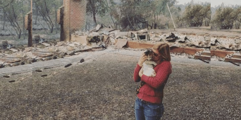 Após incêndio, donos pensam ter perdido sua gatinha. Mas se surpreenderam no final