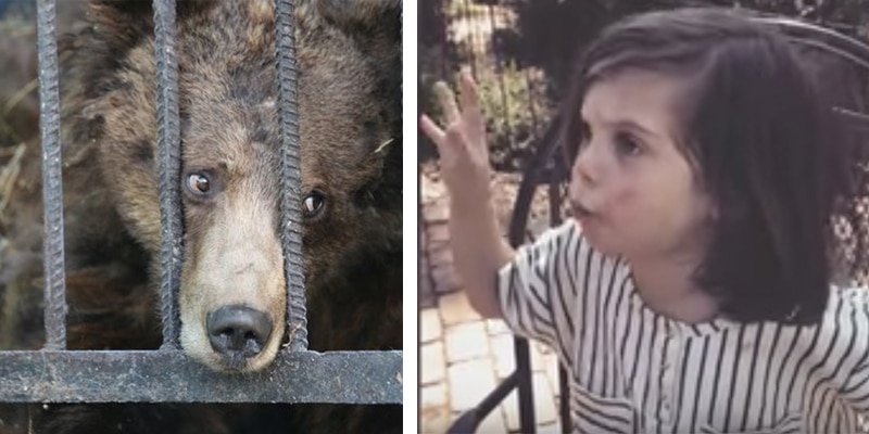 Criança de três anos compara zoológico com cadeia e viraliza na internet