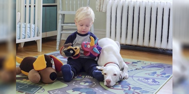 Essa cachorrinha foi maltratada e tem medos de todos menos desse bebê