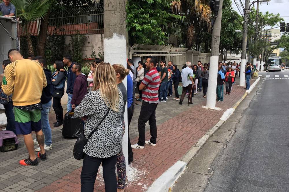 luisa feira adoção