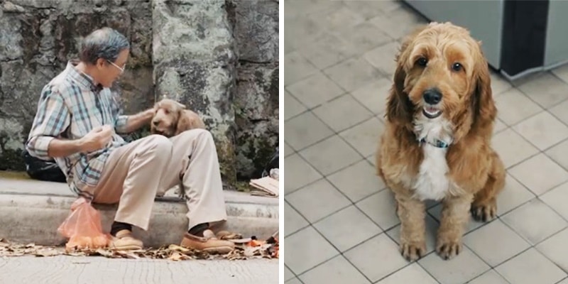 Campanha de Natal chama atenção após fazer todo o mundo chorar por uma linda razão