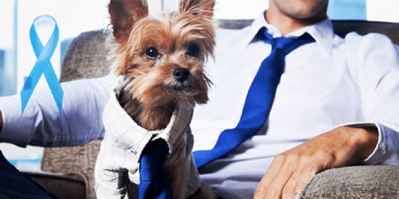 novembro azul câncer animais