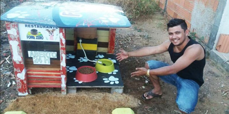 restaurante cães rua