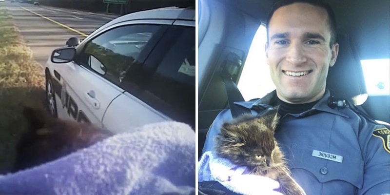 Policial para o carro para dar uma multa, mas vê algo muito mais importante na estrada