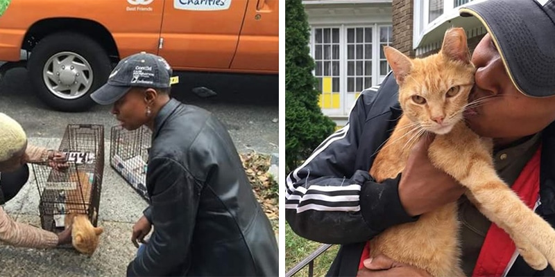 Mulher com sérios problemas de saúde não deixa que isso a impeça de cuidar de 80 gatos