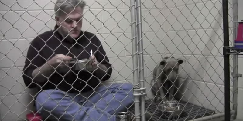 Com medo, cadela se recusa a comer. Então, policial entra na jaula e mostra o que fazer