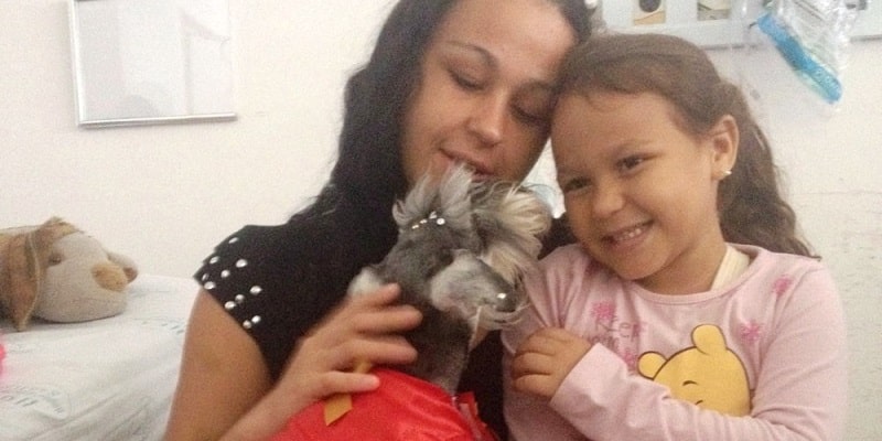 Cadelinha se dedica um dia todo para levar alegria à crianças internadas e emociona a todos