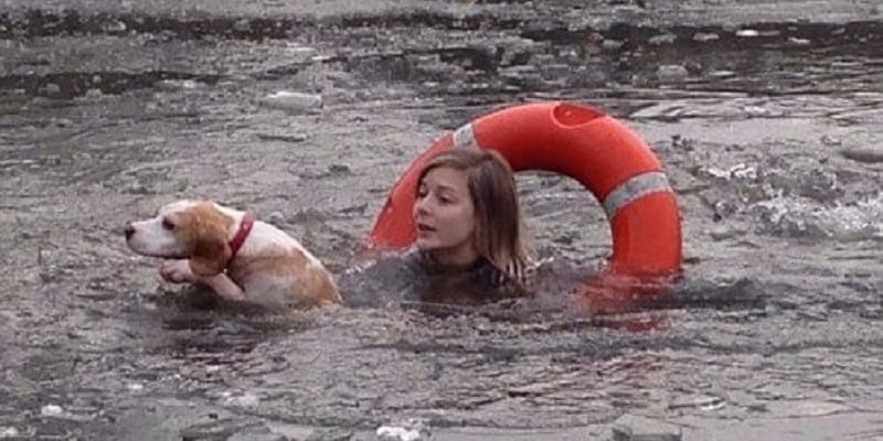 Cão cai em lago congelado e, o que sua dona faz depois, deixa todos emocionados