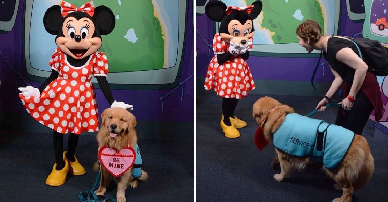 Golden é levado para conhecer a Minnie na Disney. E sua reação é a mais apaixonante possível