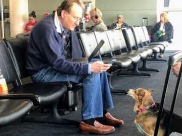 Cadelinha consola estranho em aeroporto