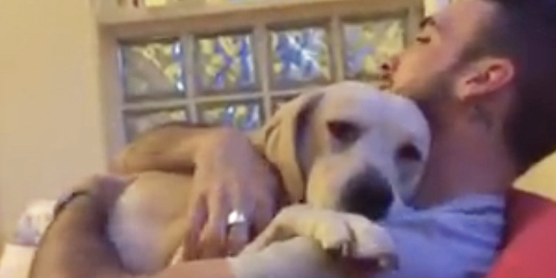 Labrador pede desculpas após ser repreendido