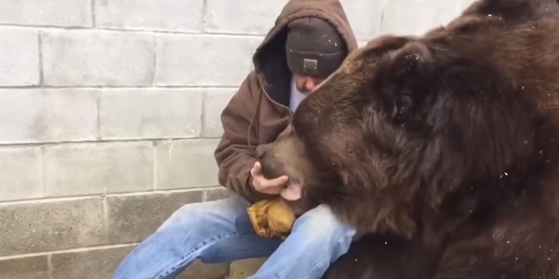 Cuidador conforta urso doente