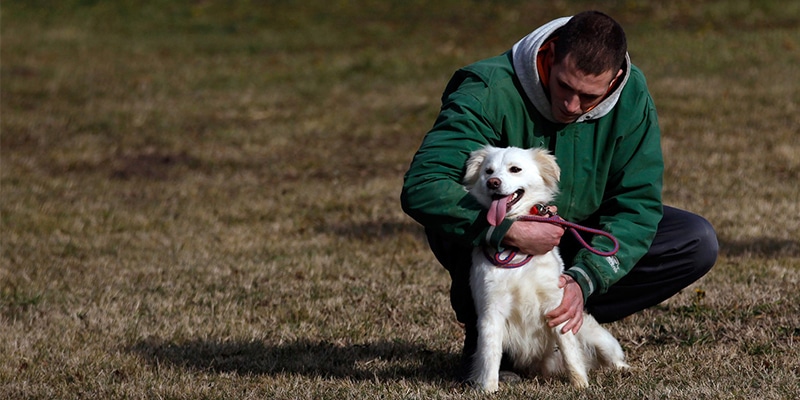 prisão presos projeto