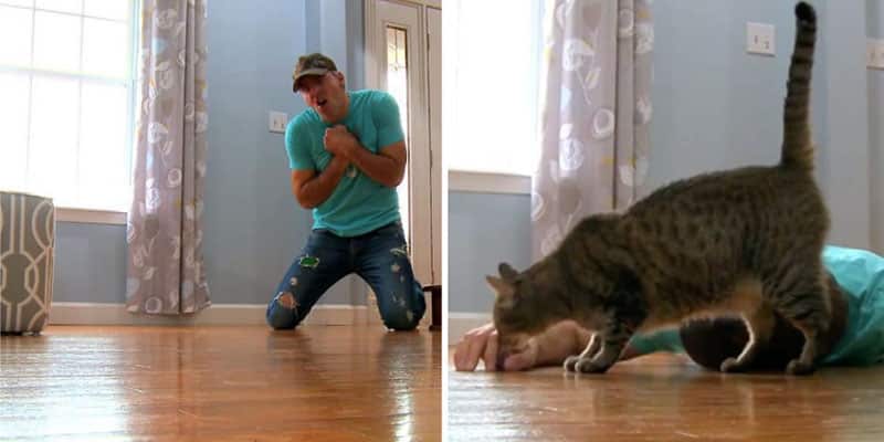 Homem finge estar morto na frente de seu gato, mas felino teve a reação mais engraçada