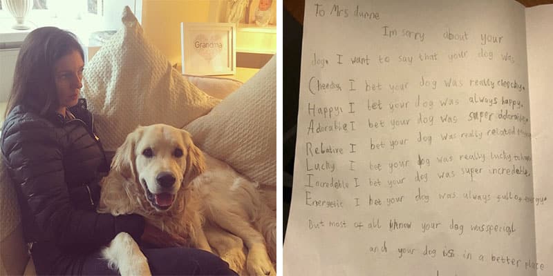 Menino conforta e escreve a carta mais doce para sua professora que perdeu o cachorro