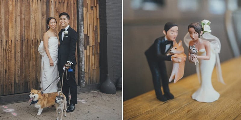 Casal encontra a forma mais criativa de incluir seus cachorros no casamento
