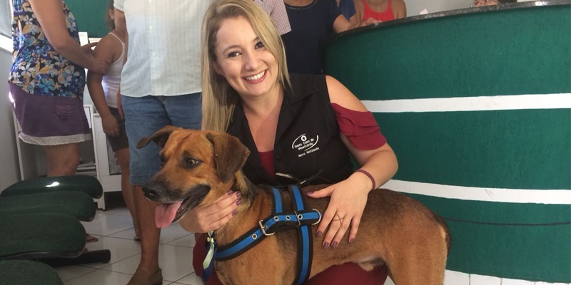 Cão que esperou o dono por meses em hospital é adotado