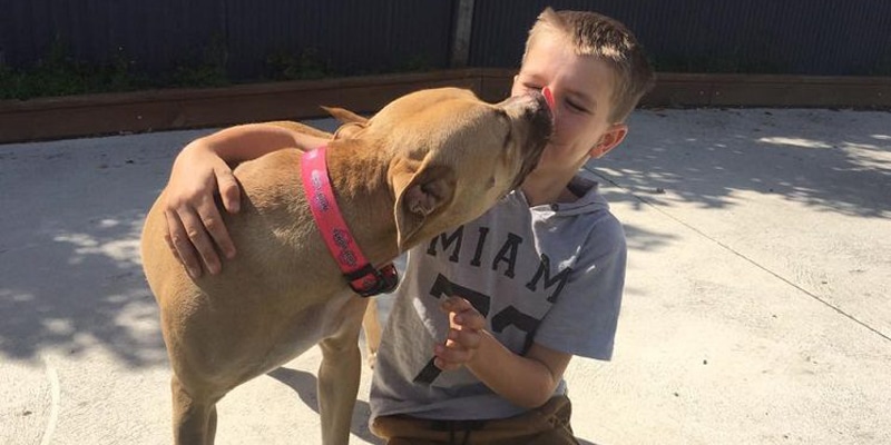 Criança cura cadelinha deprimida