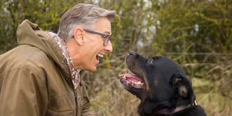 Se você usa um tom de voz “fofo” e engraçado para falar com seu cão, jamais deve parar com isso