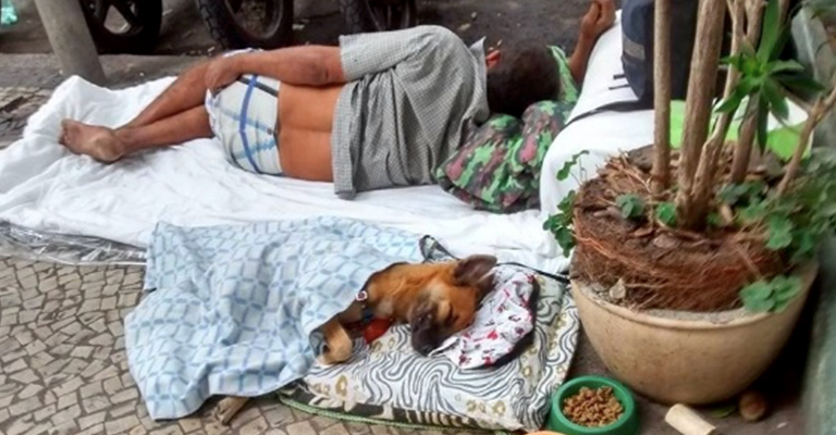A emocionante ligação de amizade entre os moradores de rua com os seus animais