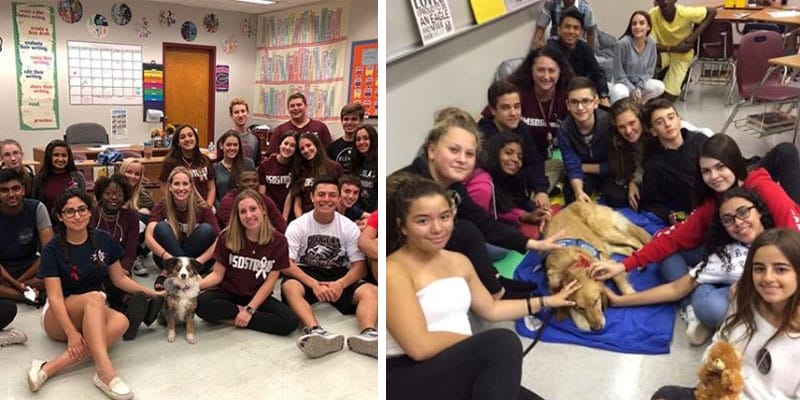 Cães de terapia recebem estudantes de volta à escola depois de tiroteio na Flórida