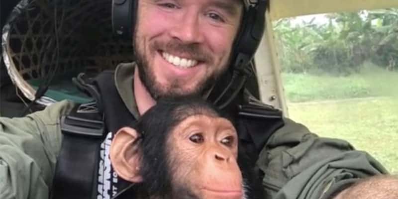 Chimpanzé bebê não desgruda de piloto que o resgatou após ele ter perdido a sua família