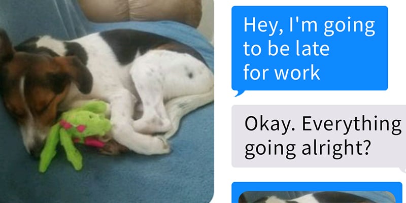 Funcionária se atrasa por causa do cachorro