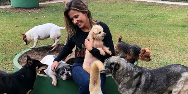 Luisa Mell será homenageada pela Assembleia Legislativa de SP pelo seu trabalho com animais