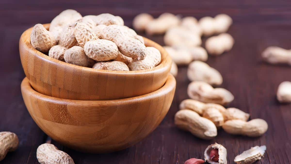 Amendoim ajuda a perder peso, revela pesquisa. Saiba como.