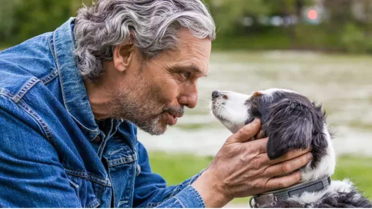 E se os animais falassem? Veja isso!