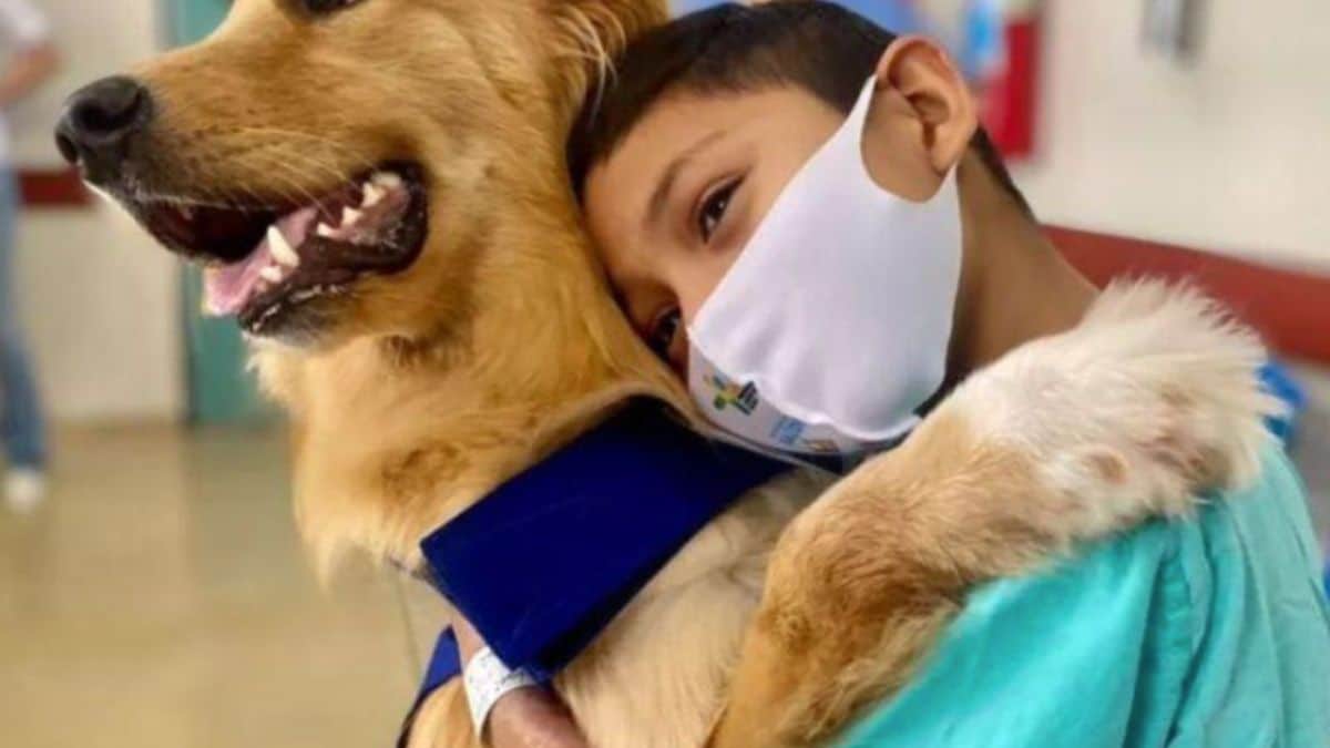 Você já ouviu falar em ‘pet terapia’?