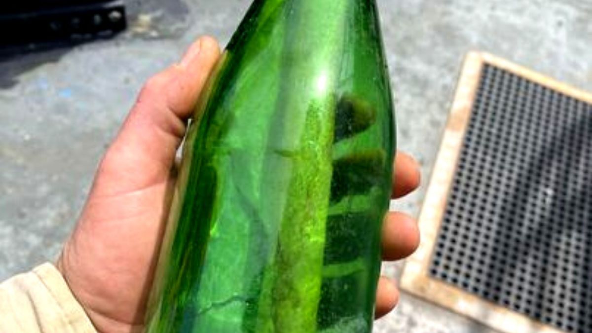 Família encontra mensagem de filho em garrafa após 33 anos de sua morte