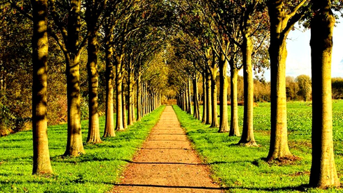 Sexta-feira: contemple a beleza do mundo a sua volta e tenha paz!