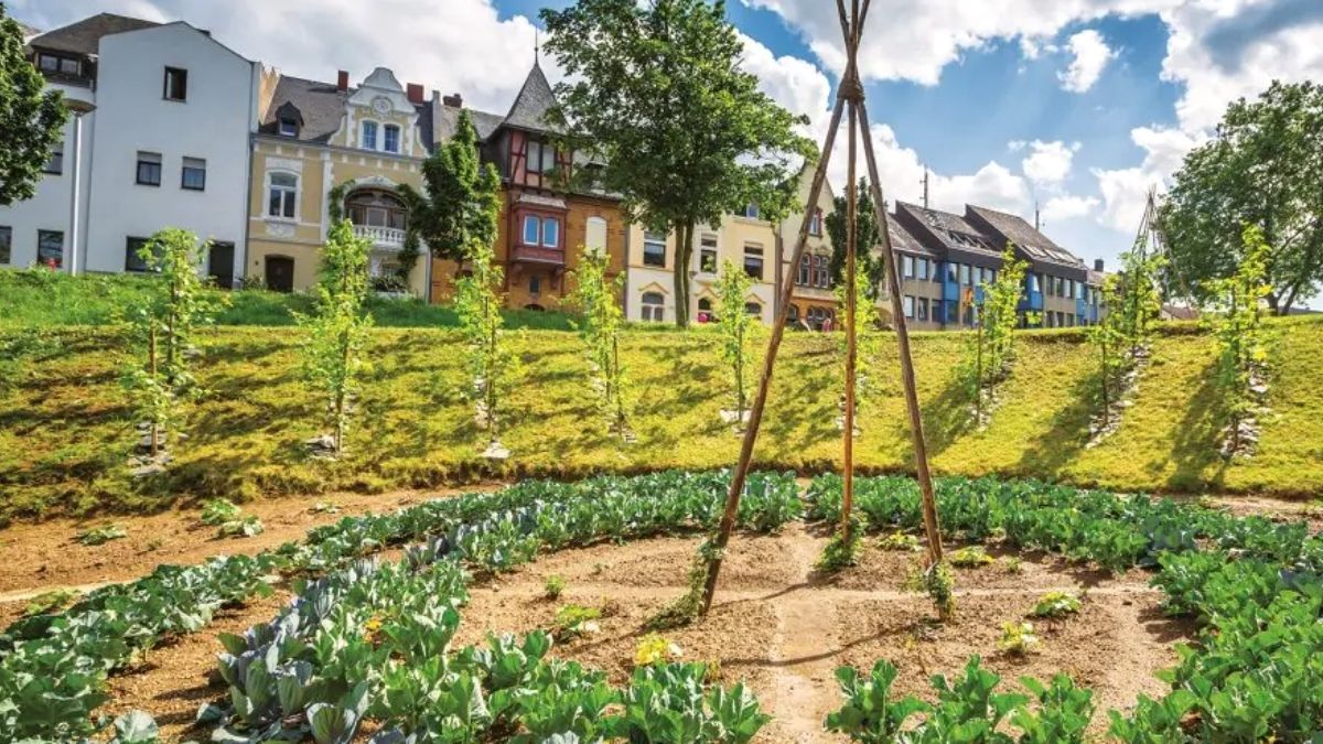 Conheça a cidade comestível! Frutas e vegetais para todos￼