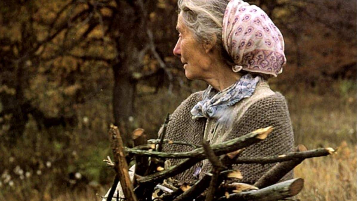 Essa é a melhor coisa que você vai ler hoje, acredite!