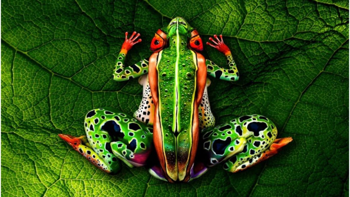 Animais ou seres humanos? Olhe direito!