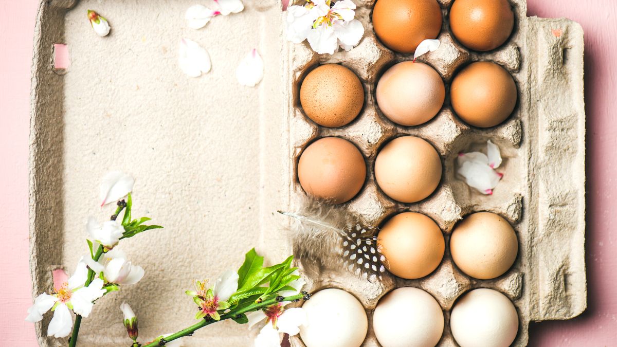 Um ovo por dia e sua saúde pode mudar! Saiba mais.