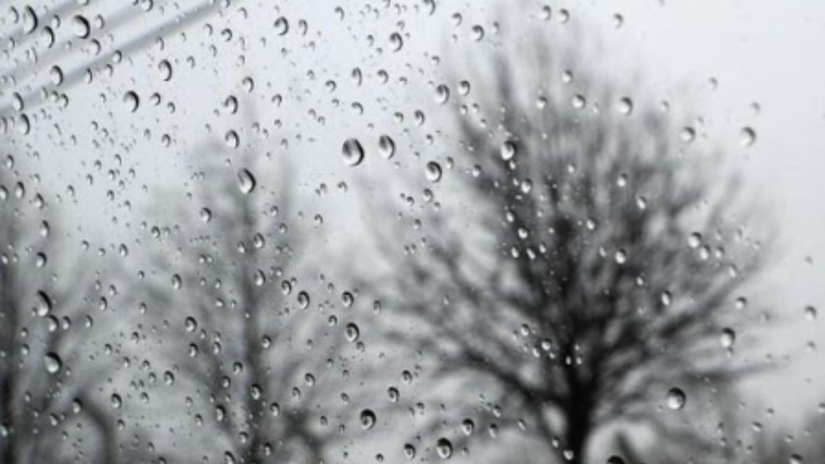 Brasileiros vivem dia de finados com temperatura amena.